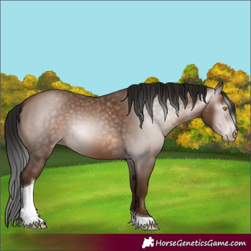 Horse Color:Gray Amber Champagne Tobiano