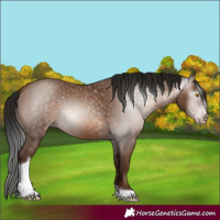 Horse Color:Gray Amber Champagne Tobiano