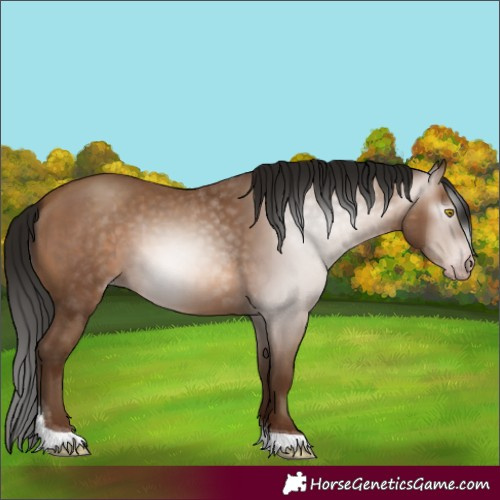 Horse Color:Gray Amber Champagne Tobiano