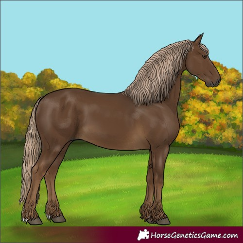 Horse Color:Gray Chocolate Palomino 