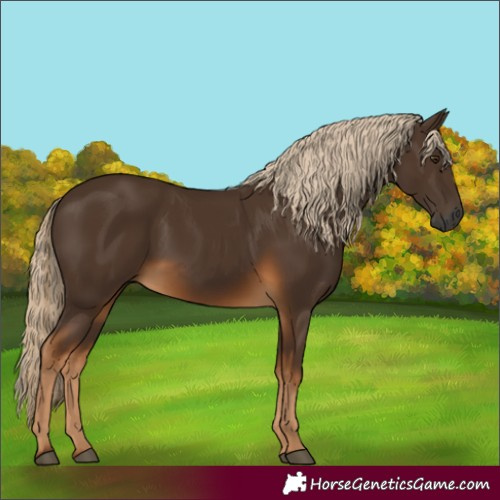 Horse Color:Gray Chocolate Palomino