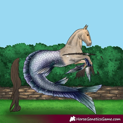 Horse Color:Buckskin Roan Dun Tobiano 