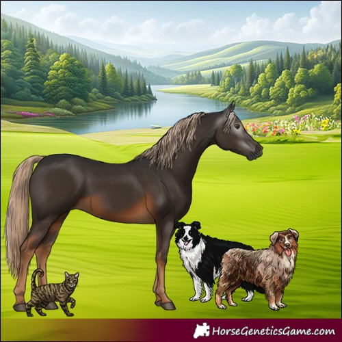 Horse Color:Gray Chocolate Palomino