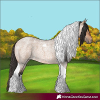 Horse Color:Unknown 