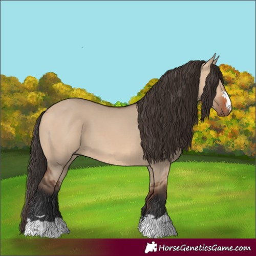 Horse Color:Unknown 