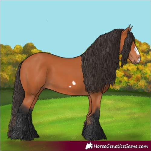 Horse Color:Unknown 