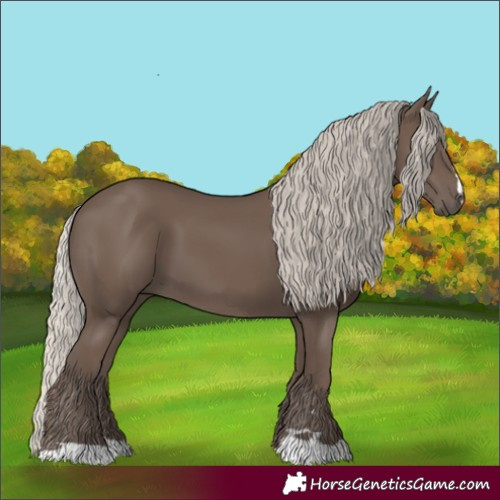 Horse Color:Silver Black 