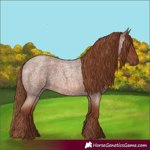 Horse Color:Red Roan 