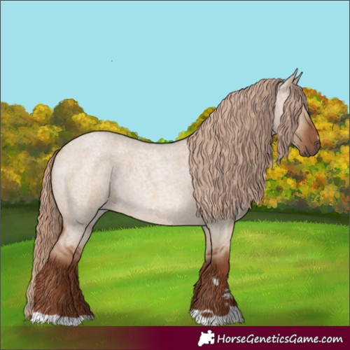 Horse Color:Red Dun Roan 