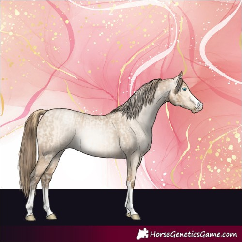 Horse Color:Buckskin Roan Pearl and Gray Buckskin Roan Pearl