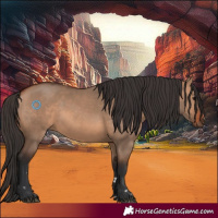 Horse Color:Bay Dun