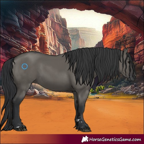 Horse Color:Grullo Rabicano 