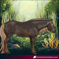 Horse Color:Gray Chocolate Palomino 