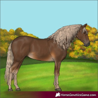 Horse Color:Gray Chocolate Palomino 