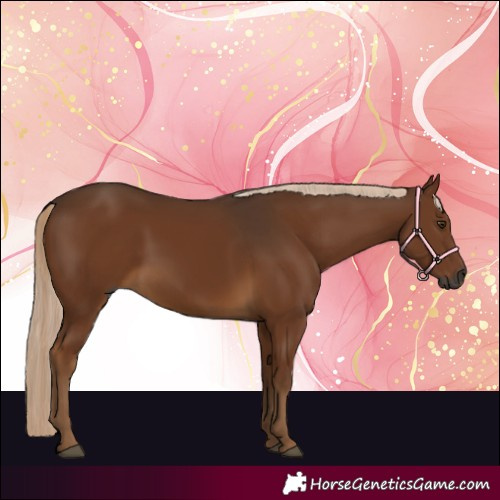 Horse Color:Gray Chocolate Palomino 