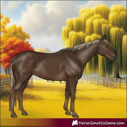 Horse Color:Gray Chocolate Palomino 