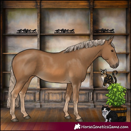 Horse Color:Chocolate Palomino Rabicano 