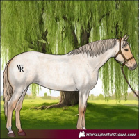 Horse Color:Red Dun Roan 