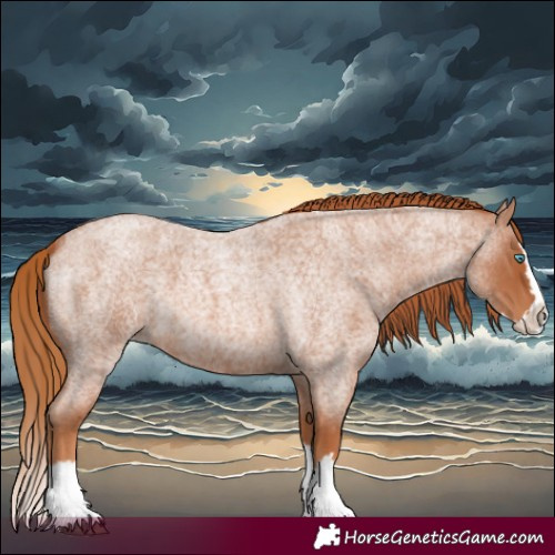 Horse Color:Red Roan Splash 