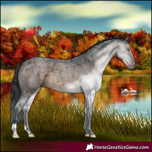 Horse Color:Brown Roan Dun 