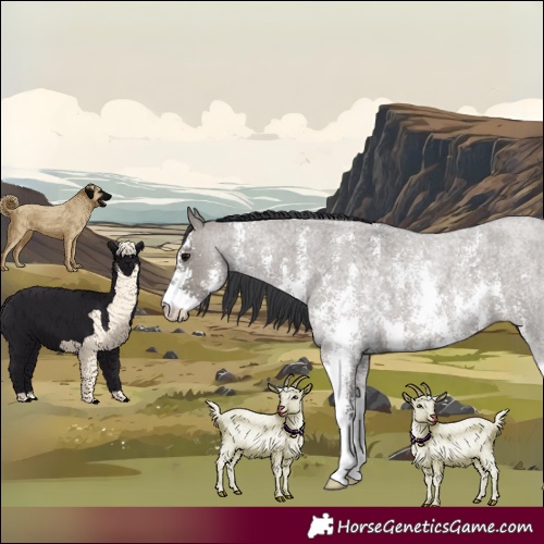 Horse Color:Grullo Roan Sabino 