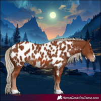 Horse Color:Chestnut Near Leopard 