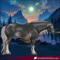 Horse Color:Gray Platinum Chocolate Palomino 