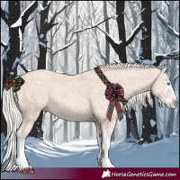 Horse Color:Cremello Splash  and Cremello Splash 