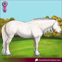 Horse Color:Cremello Splash and Gray Cremello Splash