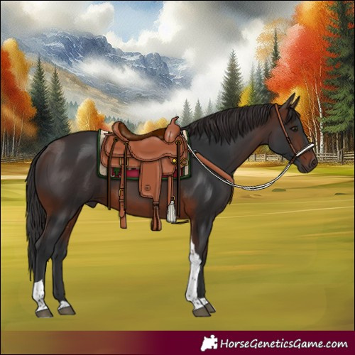 Horse Color:Brown Tobiano Rabicano 