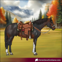 Horse Color:Brown Tobiano Rabicano