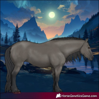Horse Color:Grullo Rabicano 