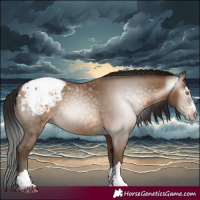 Horse Color:Gray Amber Champagne Snowcap