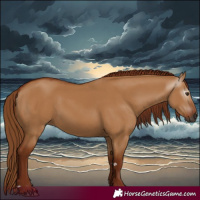 Horse Color:Gray Red Dun 