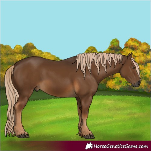 Horse Color:Gray Chocolate Palomino 