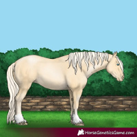 Horse Color:Palomino Pearl 