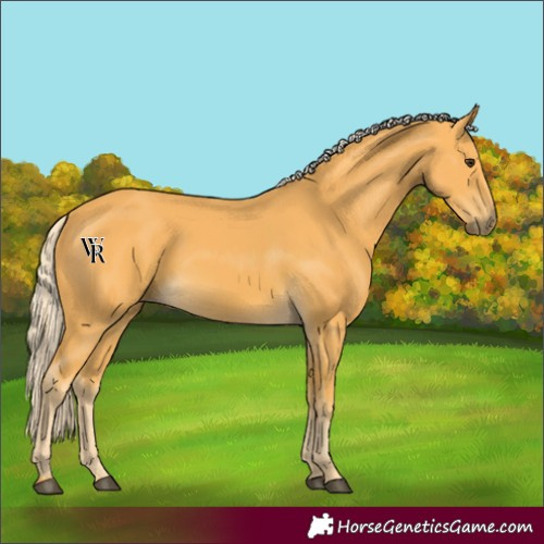 Horse Color:Unknown 