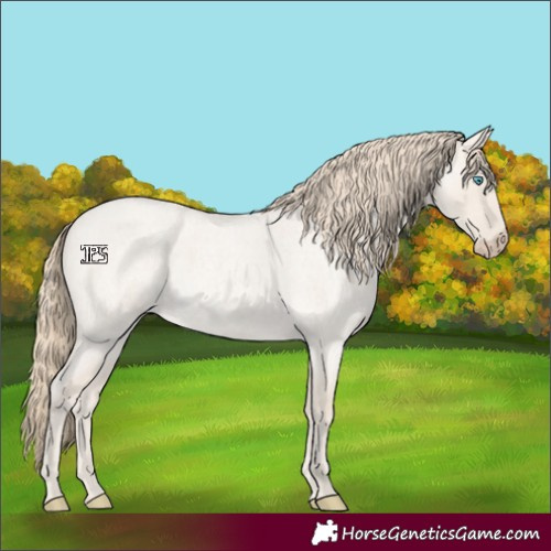Horse Color:Smoky Creme Roan Dun 