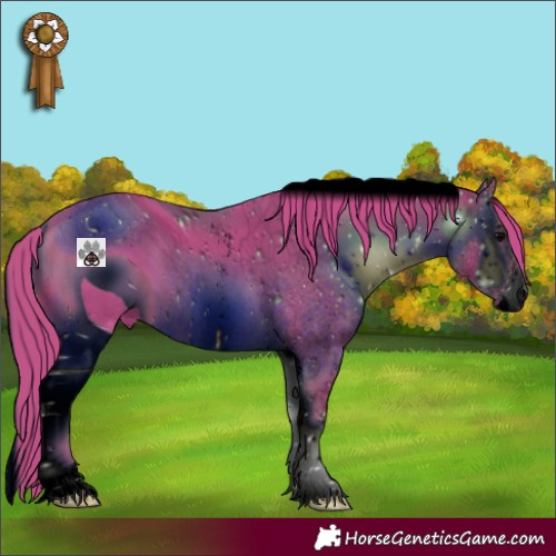 Horse Color:ERROR: UNKNOWN ANOMALY