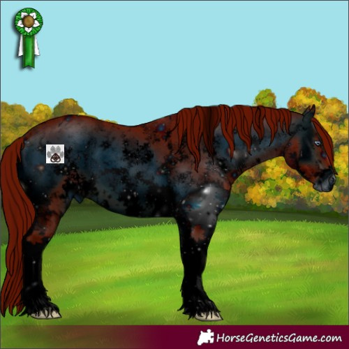Horse Color:ERROR: UNKNOWN ANOMALY