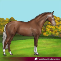 Horse Color:Gray Silver Black Pearl Tobiano 