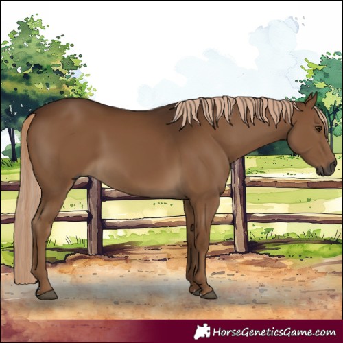 Horse Color:Gray Chocolate Palomino 