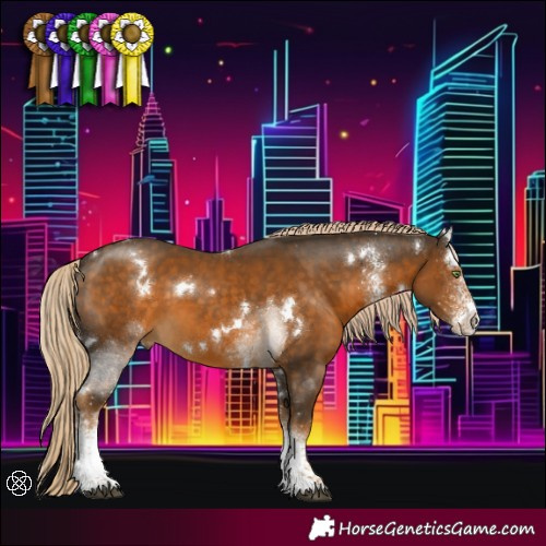 Horse Color:White Spotted Chocolate Palomino Rabicano 