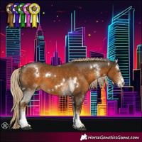 Horse Color:White Spotted Chocolate Palomino Rabicano 