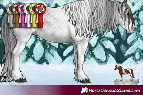 Horse Color:White Spotted Black