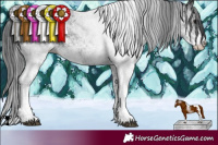 Horse Color:White Spotted Black