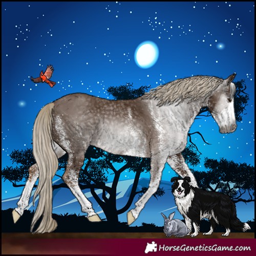 Horse Color:Gray White Spotted Chocolate Palomino Rabicano 