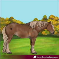 Horse Color:Gray Chocolate Palomino 