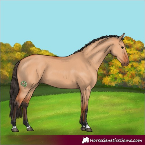Horse Color:Bay Dun