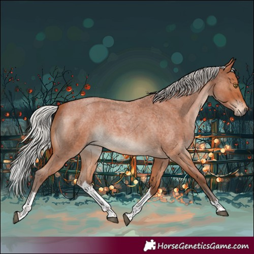 Horse Color:White Spotted Silver Bay Roan 